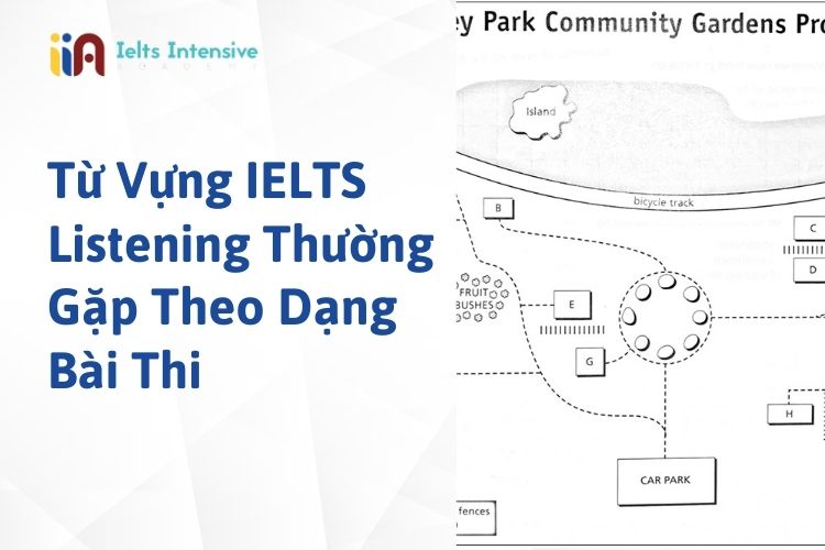Từ Vựng IELTS Listening Thường Gặp Theo Dạng Bài Thi