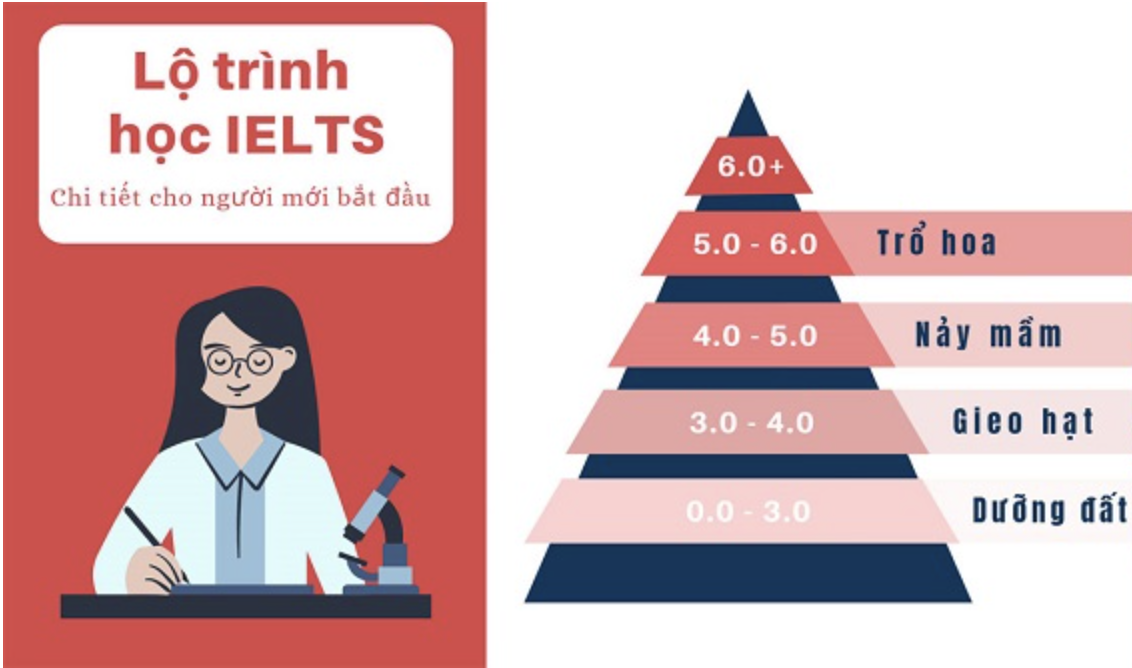 + Lộ trình Ielts tinh gọn - LEAN IELTS LEARNING PROCESS